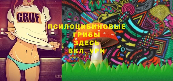соль курить ск Переславль-Залесский