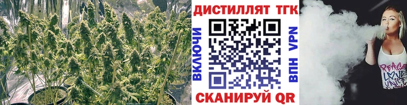 Дистиллят ТГК гашишное масло Сарапул