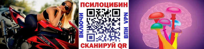 купить   Сарапул  ОМГ ОМГ ТОР  Галлюциногенные грибы мицелий 